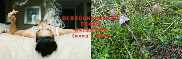 мескалин Дмитровск