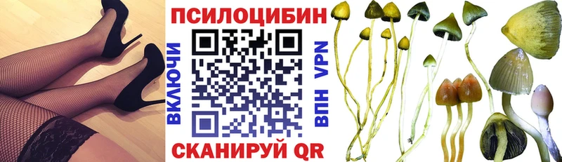 наркотики  Ковров  Псилоцибиновые грибы Psilocybine cubensis 